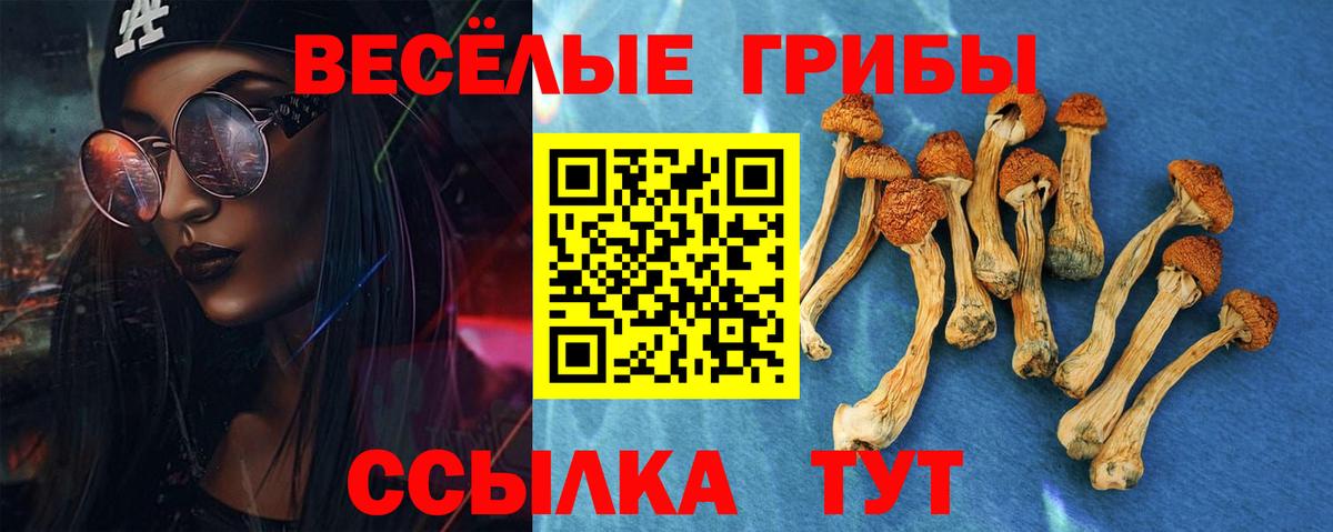 Псилоцибиновые грибы Psilocybe Россошь